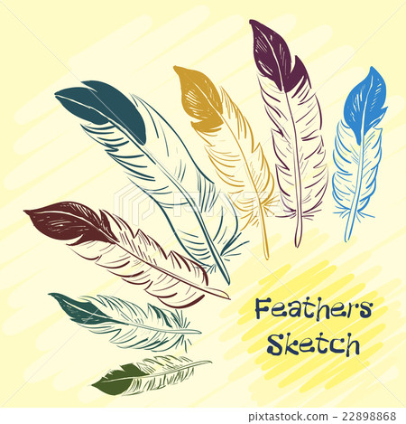 Set of beautiful colored feather. Sketch feathers. Set of beautiful colored feather. Sketch feathers. 22898868