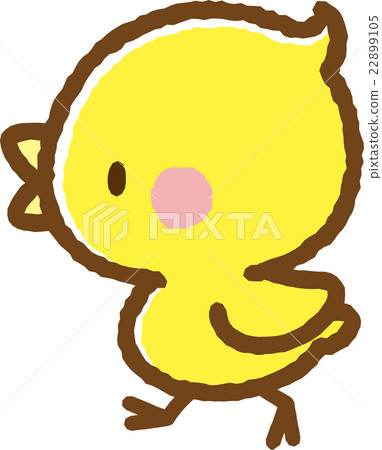 Chick Chick 22899105