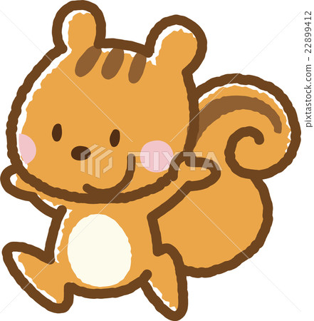 Squirre 22899412
