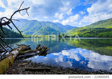 日光Yun子 22900095