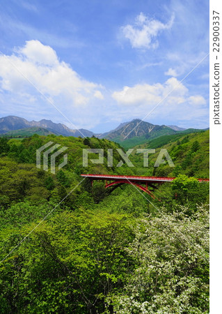 May Kiyosato Highland 09新鮮的綠色小澤小澤大橋 22900337