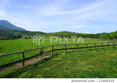 May Shirakago Kogen 01 Tateshiyama和一個新鮮的綠色牧場 May Shirakago Kogen 01 Tateshiyama和一個新鮮的綠色牧場 22900338