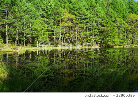 May Tateshina Kogen 17 shrine's fish pond May Tateshina Kogen 17 shrine's fish pond 22900389