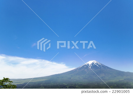 Mt. Fuji of Mt. Fuji seen from the hill of Lake Kawaguchi Mt. Fuji of Mt. Fuji seen from the hill of Lake Kawaguchi 22901005
