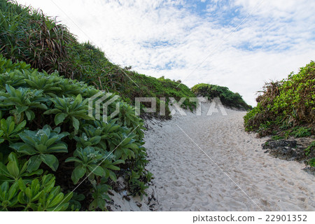 Sandy beach of Miyakojima, Okinawa Prefecture 22901352