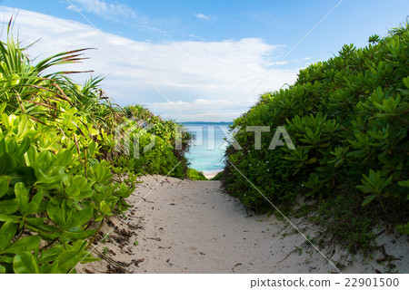 沖繩縣宮古島的沙灘 22901500