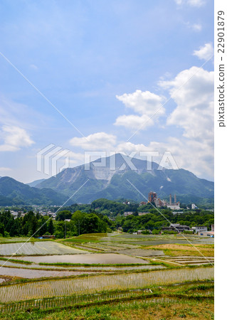 Mt. Mountain and Terasaka Rice terrace 22901879