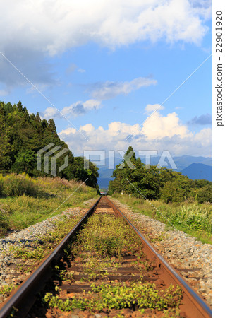 Line straight line Line straight line 22901920