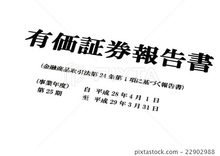 證券報告 22902988