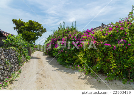 竹富島（沖繩） 22903459
