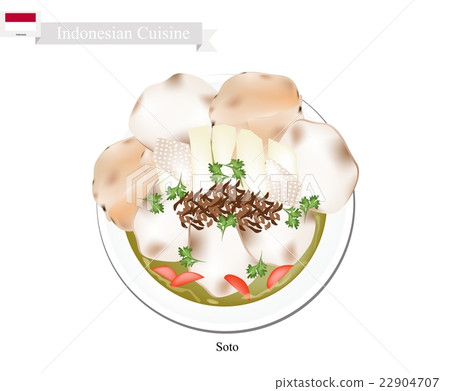 Soto or Indonesian Chicken and Vegetables Soup 22904707