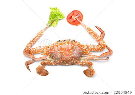 Crabs with tomatoes and vegetables 22904849