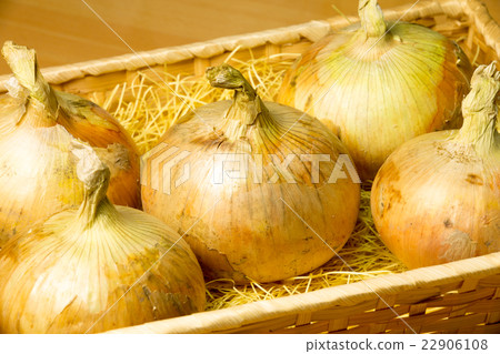 淡路島制洋蔥 22906108