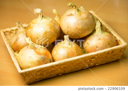 淡路島制洋蔥 22906109