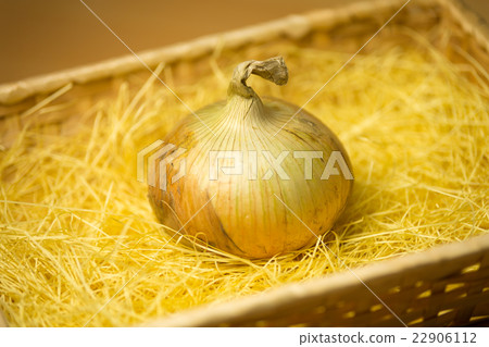 Awaji Island-made onion 22906112
