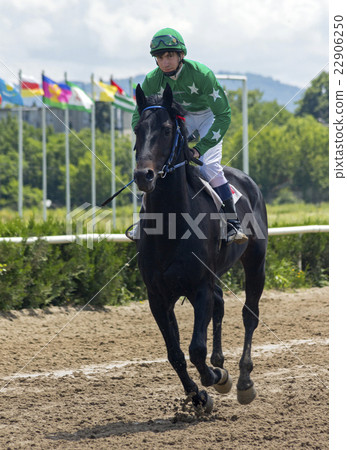 Before horse race. Before horse race. 22906250