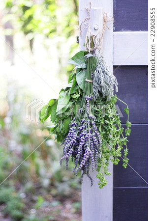 A bunch of herbs hung on the door of the hut 22908555