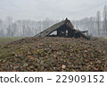 Destroyed gas chamber "Crema torium" in the second concentration camp in Birkenau 22909152