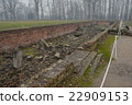 Destroyed gas chamber "Crema torium" in the second concentration camp in Birkenau 22909153
