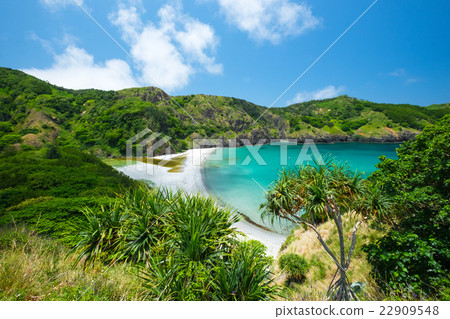 图库照片 小笠原群岛chichijima oga coast