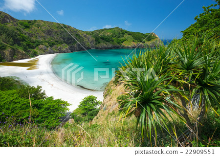 小笠原群島Chichijima Oga Coast 小笠原群島Chichijima Oga Coast 22909551