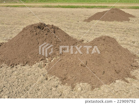 Compost to rice field Compost to rice field 22909792