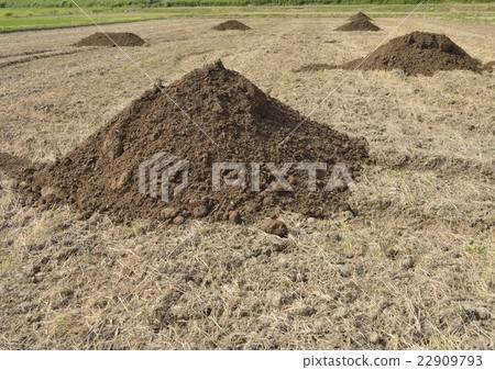 Compost to rice field Compost to rice field 22909793