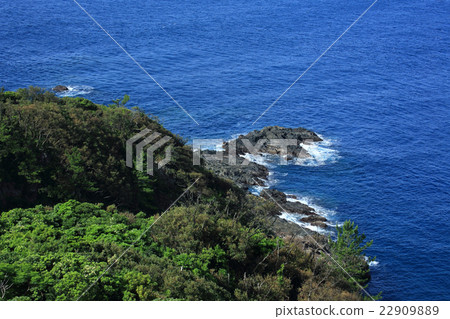 Yakushima Tanizaki nose Yakushima Tanizaki nose 22909889