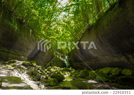 Valley and fresh green (Ehime Prefecture Namerikawa Valley dragon's belly) 22910351
