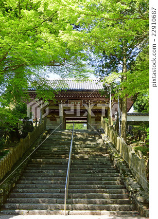 The monkey gate of Kanji Temple 22910687