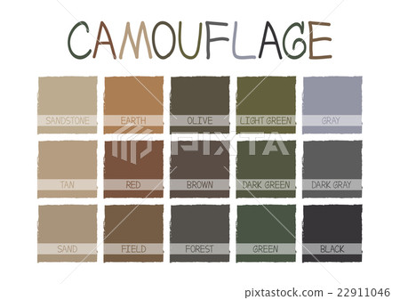 Camouflage Color Tone Camouflage Color Tone 22911046