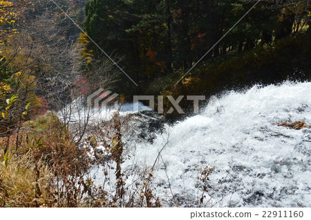 洪流（Yu Taki / Oku Nikko /栃木縣日光市） 22911160