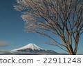 Rain Ice 2 22911248