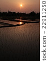 Sunrise 22911250