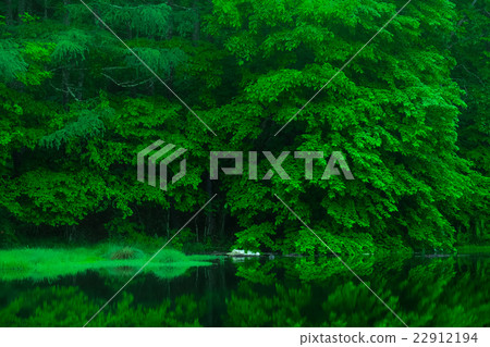 鯊魚池(17) 鯊魚池(17) 22912194