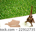 Grass with blurry foreground of Eiffel tower paper 22912735