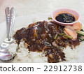 Close-up rice with roast duck 22912738
