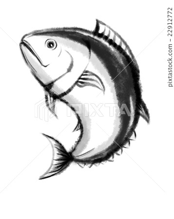 Bluefin tuna (book tuna) - Stock Illustration [22912772] - PIXTA