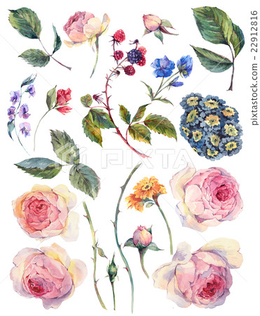 Set vintage watercolor elements of English roses Set vintage watercolor elements of English roses 22912816