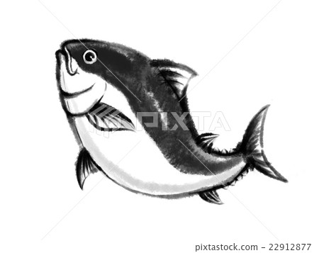 Bluefin tuna (book tuna) - Stock Illustration [22912877] - PIXTA