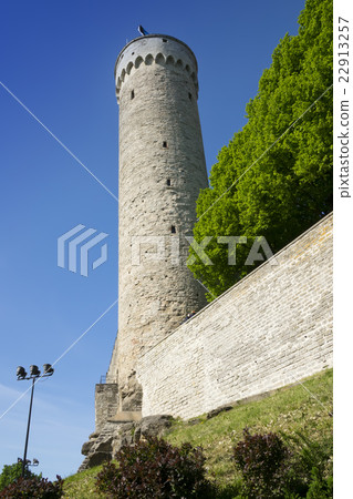 Tall Hermann - a tower of the Toompea Castle on To Tall Hermann - a tower of the Toompea Castle on To 22913257