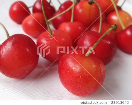 櫻桃 櫻桃 22913643