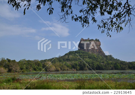 Sagiriya岩石在叢林中升起，高度為195米 22913645
