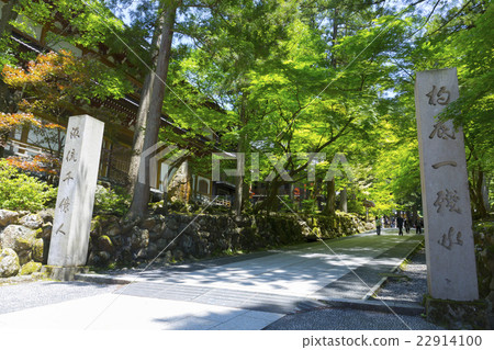 Eiheiji寺廟入口路 Eiheiji寺廟入口路 22914100