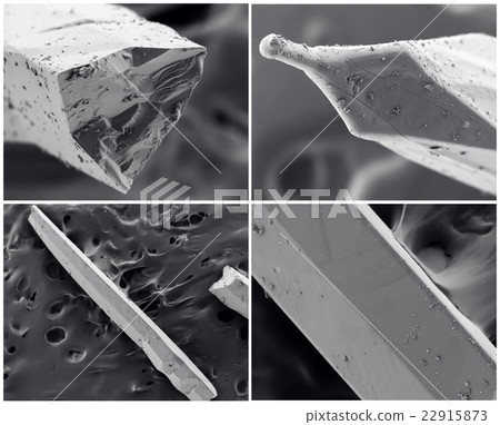 Scientific collage. Photo from electron microscope 22915873