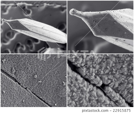 Scientific collage. Photo from electron microscope Scientific collage. Photo from electron microscope 22915875