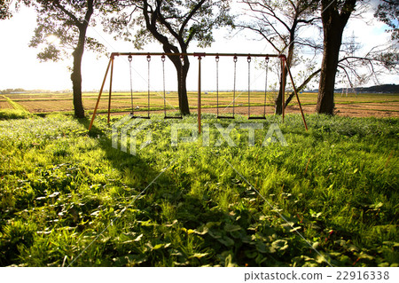 Swing Swing 22916338