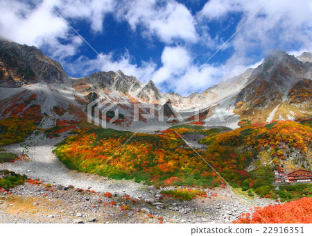 Dusk of autumn leaves 22916351