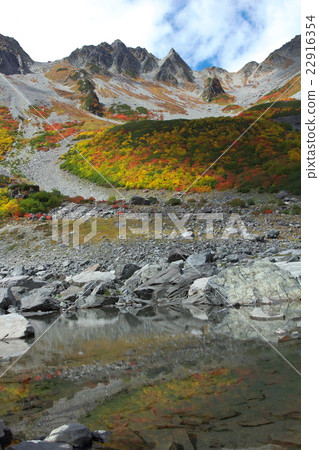 Dusk of autumn leaves Dusk of autumn leaves 22916354