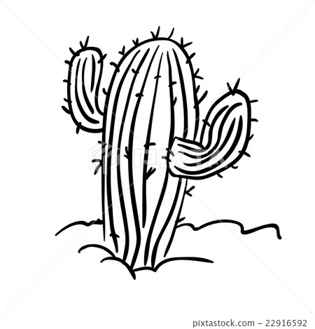 插图素材: black and white cactus